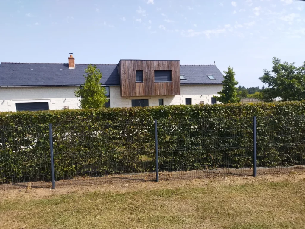 Talon Tp Et Paysage Terrassement Saumur IMG 20240730 115429909 1